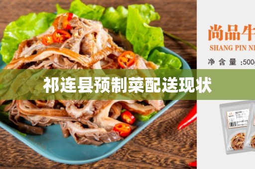 祁连县预制菜配送现状