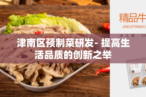 津南区预制菜研发- 提高生活品质的创新之举