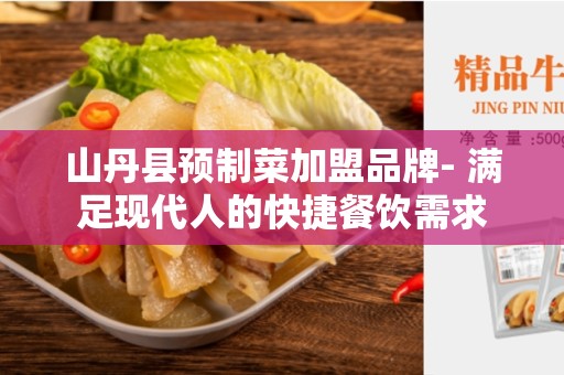 山丹县预制菜加盟品牌- 满足现代人的快捷餐饮需求