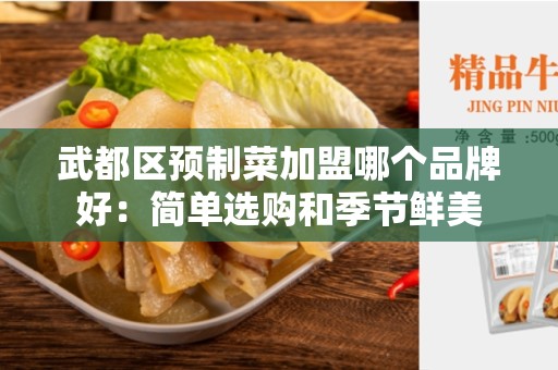 武都区预制菜加盟哪个品牌好：简单选购和季节鲜美
