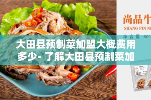 大田县预制菜加盟大概费用多少- 了解大田县预制菜加盟的费用