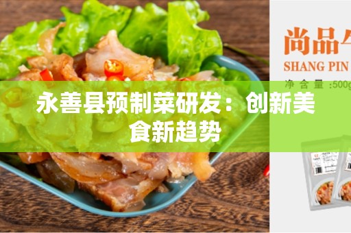 永善县预制菜研发：创新美食新趋势
