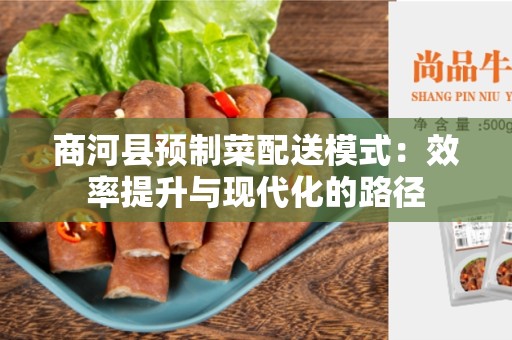 商河县预制菜配送模式：效率提升与现代化的路径
