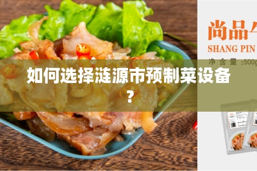 如何选择涟源市预制菜设备？
