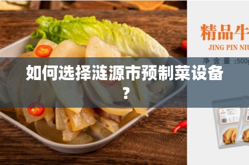 如何选择涟源市预制菜设备？