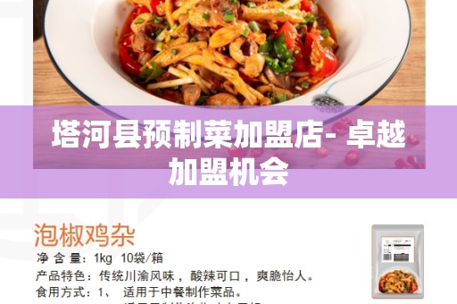 塔河县预制菜加盟店- 卓越加盟机会