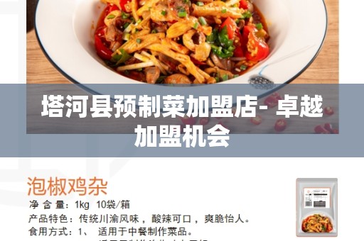 塔河县预制菜加盟店- 卓越加盟机会