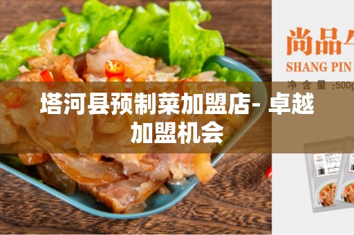 塔河县预制菜加盟店- 卓越加盟机会
