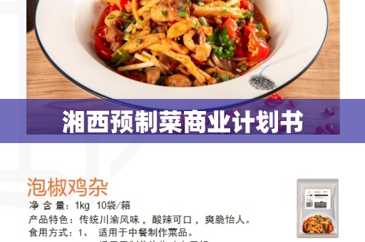 湘西预制菜商业计划书