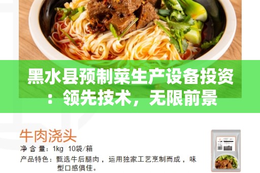 黑水县预制菜生产设备投资：领先技术，无限前景