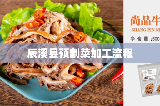 辰溪县预制菜加工流程