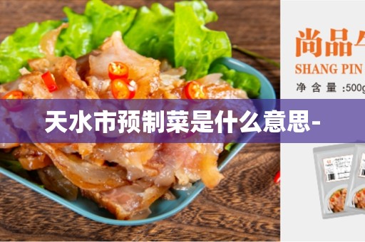 天水市预制菜是什么意思-