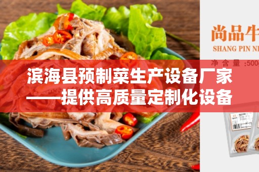 滨海县预制菜生产设备厂家——提供高质量定制化设备解决方案