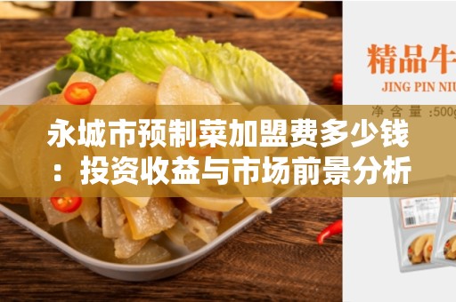 永城市预制菜加盟费多少钱：投资收益与市场前景分析
