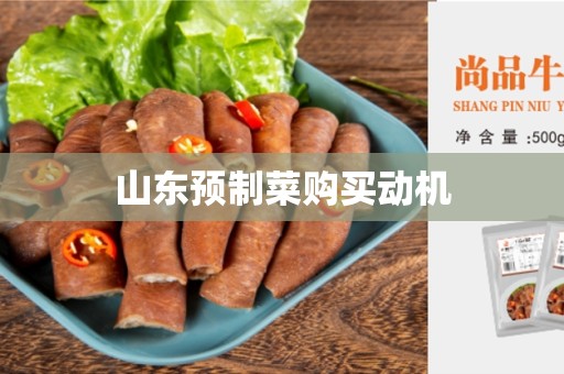 山东预制菜购买动机