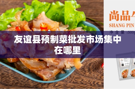 友谊县预制菜批发市场集中在哪里