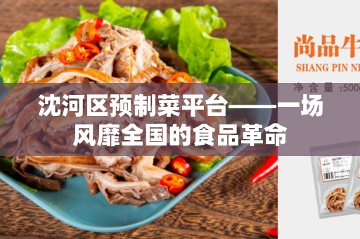 沈河区预制菜平台——一场风靡全国的食品革命