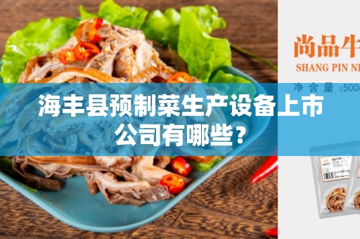 海丰县预制菜生产设备上市公司有哪些？