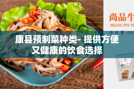 康县预制菜种类- 提供方便又健康的饮食选择