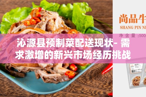 沁源县预制菜配送现状- 需求激增的新兴市场经历挑战与机遇