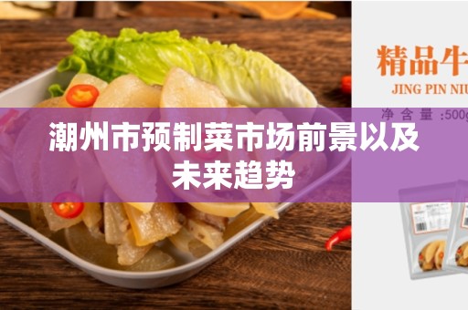 潮州市预制菜市场前景以及未来趋势