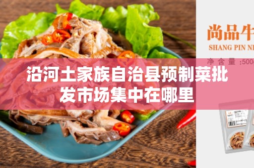 沿河土家族自治县预制菜批发市场集中在哪里