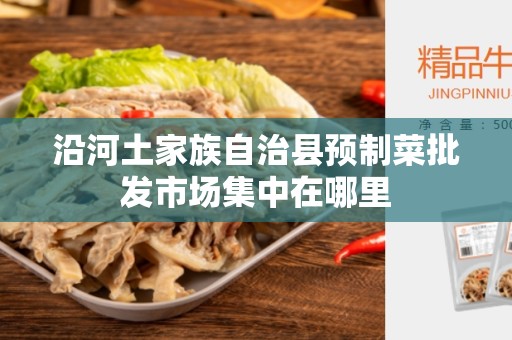 沿河土家族自治县预制菜批发市场集中在哪里