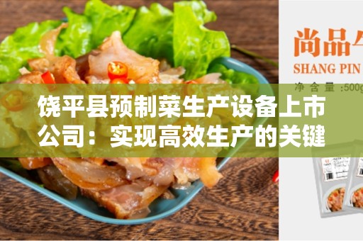 饶平县预制菜生产设备上市公司：实现高效生产的关键