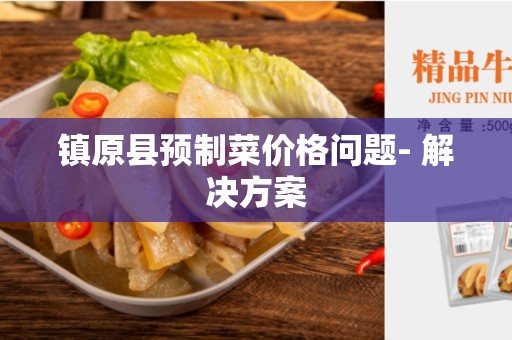 镇原县预制菜价格问题- 解决方案