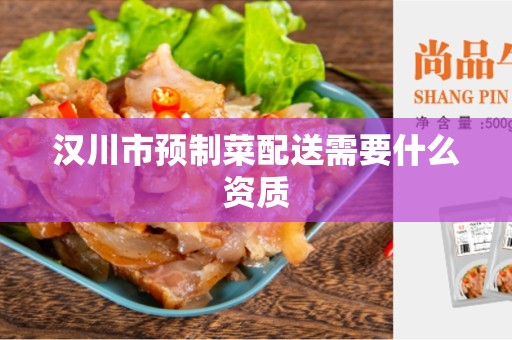 汉川市预制菜配送需要什么资质