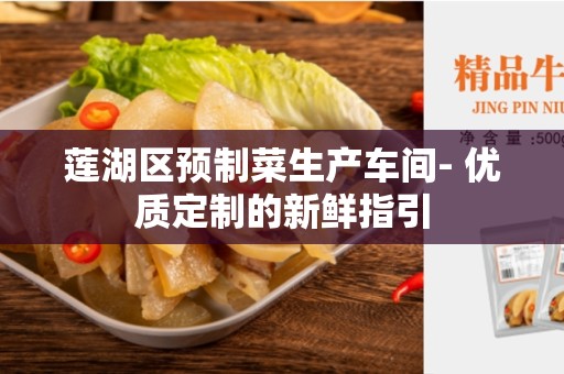 莲湖区预制菜生产车间- 优质定制的新鲜指引