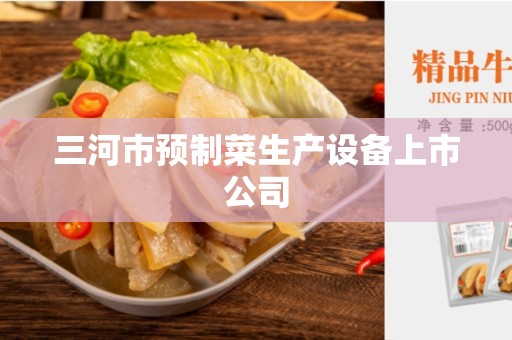 三河市预制菜生产设备上市公司