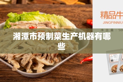 湘潭市预制菜生产机器有哪些
