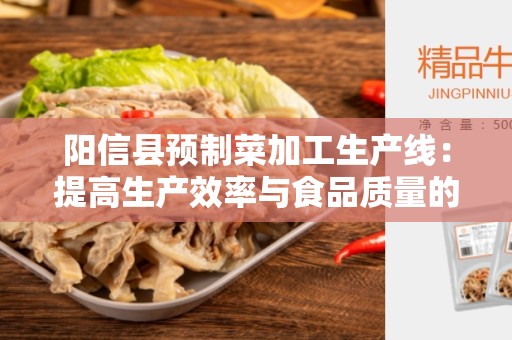 阳信县预制菜加工生产线：提高生产效率与食品质量的最佳选择