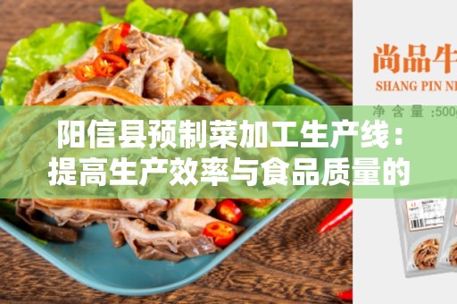 阳信县预制菜加工生产线：提高生产效率与食品质量的最佳选择