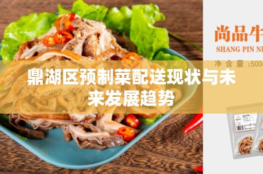鼎湖区预制菜配送现状与未来发展趋势