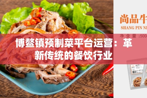 博鳌镇预制菜平台运营：革新传统的餐饮行业