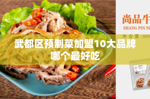 武都区预制菜加盟10大品牌哪个最好吃