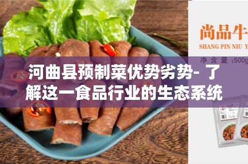 河曲县预制菜优势劣势- 了解这一食品行业的生态系统