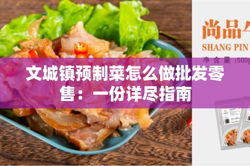 文城镇预制菜怎么做批发零售：一份详尽指南