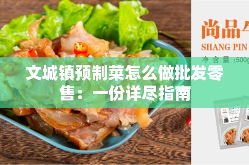 文城镇预制菜怎么做批发零售：一份详尽指南