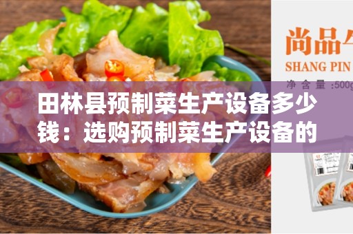 田林县预制菜生产设备多少钱：选购预制菜生产设备的指南