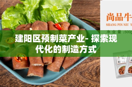 建阳区预制菜产业- 探索现代化的制造方式