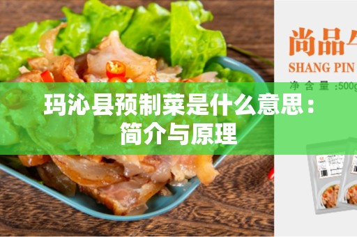 玛沁县预制菜是什么意思：简介与原理