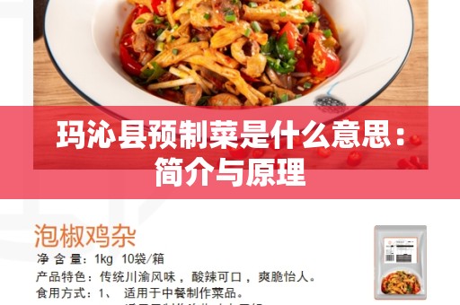 玛沁县预制菜是什么意思：简介与原理