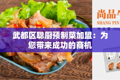 武都区聪厨预制菜加盟：为您带来成功的商机