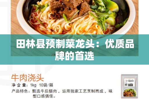 田林县预制菜龙头：优质品牌的首选