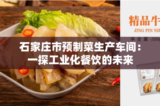 石家庄市预制菜生产车间：一探工业化餐饮的未来