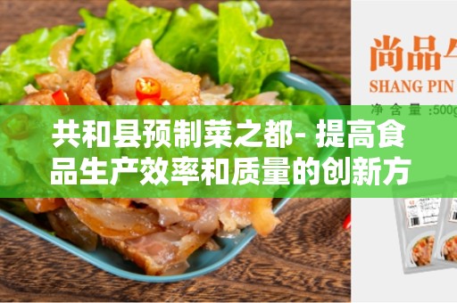 共和县预制菜之都- 提高食品生产效率和质量的创新方式