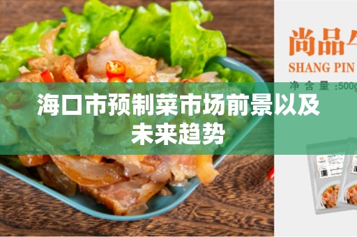 海口市预制菜市场前景以及未来趋势